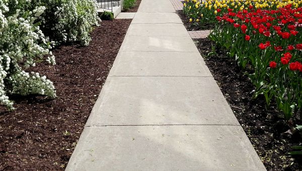 Cost of Sidewalk Slab Replacement in Mount Vernon
