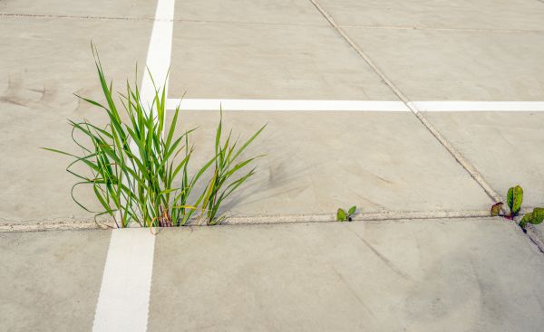 Concrete Parking Installation in Mount Vernon