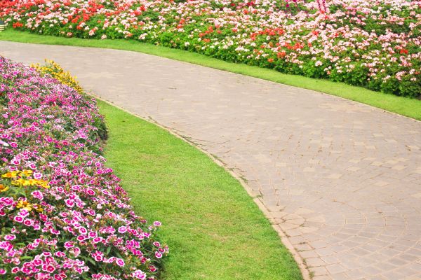 Cost of Concrete Walkway Service in Mount Vernon
